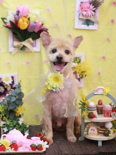 20230309ロイくん